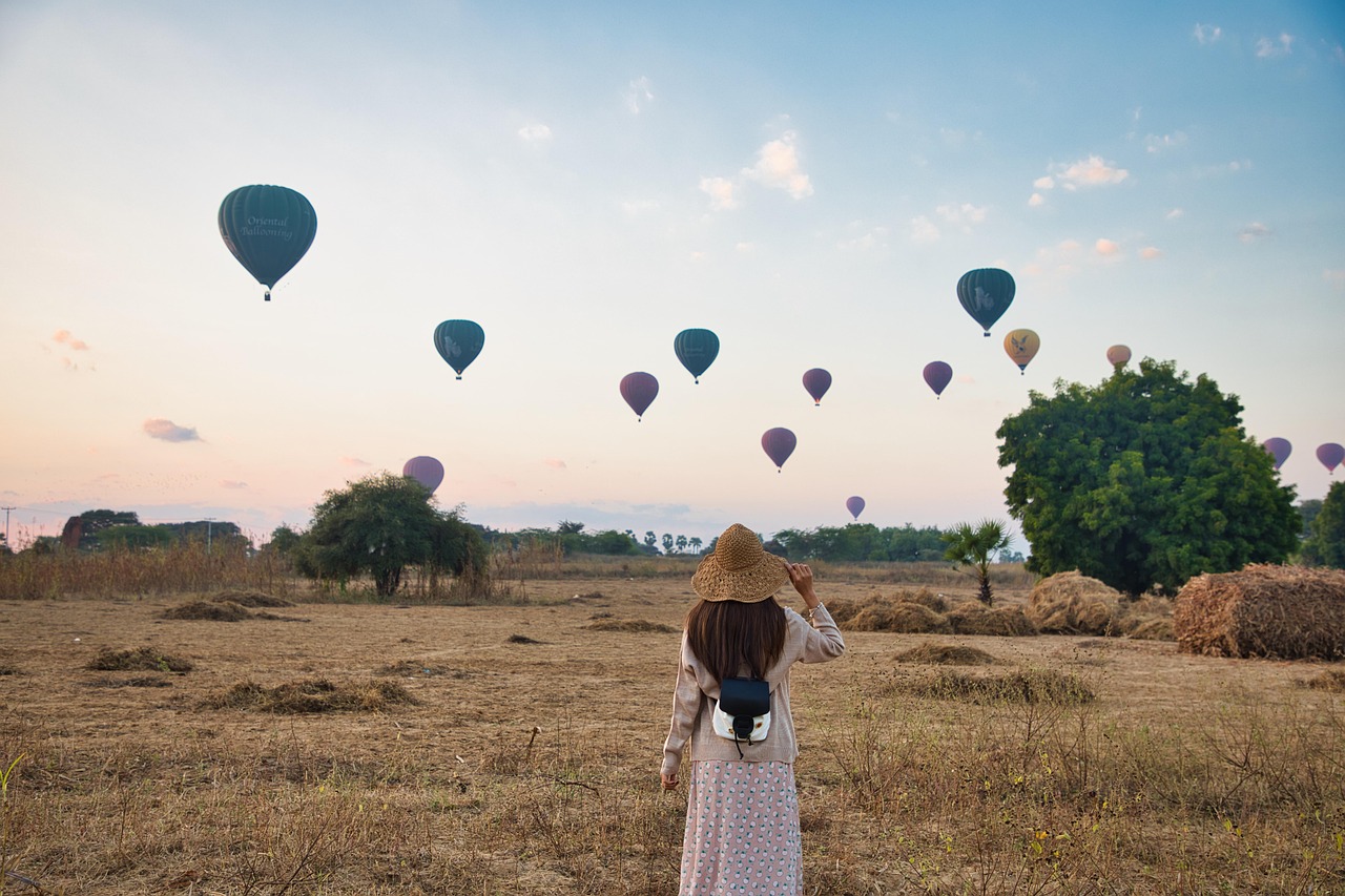 Hot air balloon over savanna
